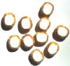 14mm Oval Table / Window Beads